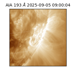 saia - 2025-09-05T09:00:04.835000