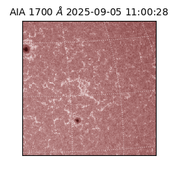 saia - 2025-09-05T11:00:28.744000