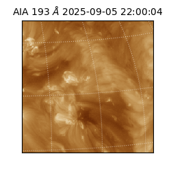 saia - 2025-09-05T22:00:04.835000