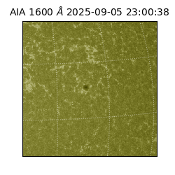 saia - 2025-09-05T23:00:38.126000