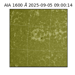 saia - 2025-09-05T09:00:14.122000