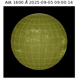 saia - 2025-09-05T09:00:14.122000