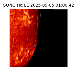 gong - 2025-09-05T01:00:42