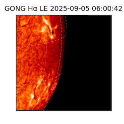 gong - 2025-09-05T06:00:42