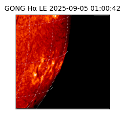 gong - 2025-09-05T01:00:42