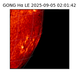 gong - 2025-09-05T02:01:42