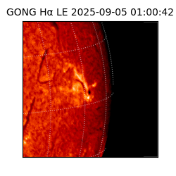 gong - 2025-09-05T01:00:42