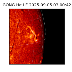 gong - 2025-09-05T03:00:42