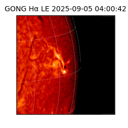 gong - 2025-09-05T04:00:42
