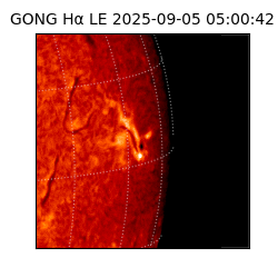 gong - 2025-09-05T05:00:42
