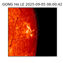 gong - 2025-09-05T06:00:42