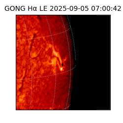 gong - 2025-09-05T07:00:42