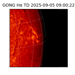 gong - 2025-09-05T09:00:22