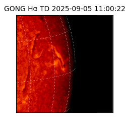 gong - 2025-09-05T11:00:22