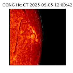 gong - 2025-09-05T12:00:42