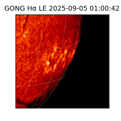 gong - 2025-09-05T01:00:42