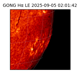gong - 2025-09-05T02:01:42