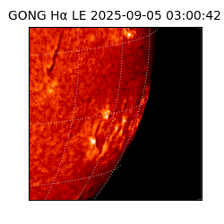 gong - 2025-09-05T03:00:42