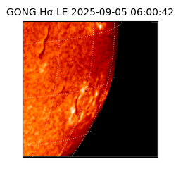 gong - 2025-09-05T06:00:42