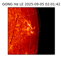 gong - 2025-09-05T02:01:42