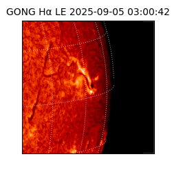 gong - 2025-09-05T03:00:42