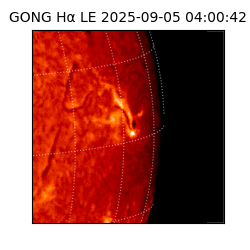 gong - 2025-09-05T04:00:42
