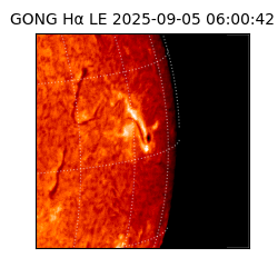 gong - 2025-09-05T06:00:42