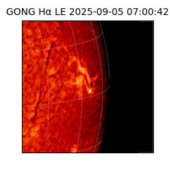 gong - 2025-09-05T07:00:42