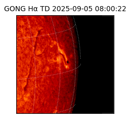 gong - 2025-09-05T08:00:22