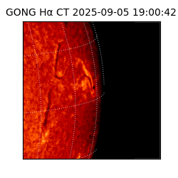 gong - 2025-09-05T19:00:42