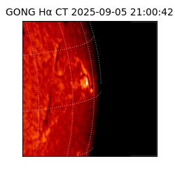 gong - 2025-09-05T21:00:42