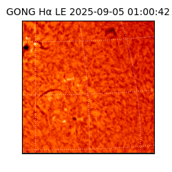 gong - 2025-09-05T01:00:42