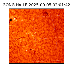 gong - 2025-09-05T02:01:42