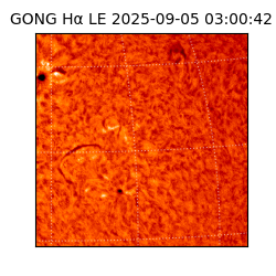 gong - 2025-09-05T03:00:42