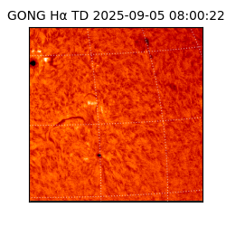 gong - 2025-09-05T08:00:22