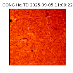 gong - 2025-09-05T11:00:22
