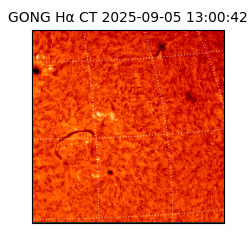 gong - 2025-09-05T13:00:42