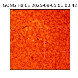 gong - 2025-09-05T01:00:42