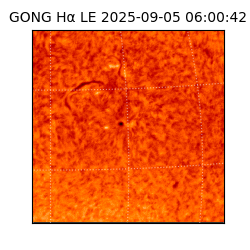 gong - 2025-09-05T06:00:42