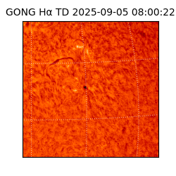 gong - 2025-09-05T08:00:22
