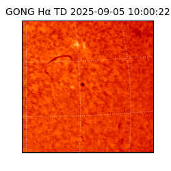 gong - 2025-09-05T10:00:22