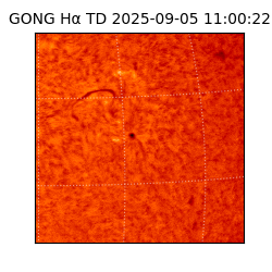 gong - 2025-09-05T11:00:22