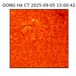 gong - 2025-09-05T15:00:42