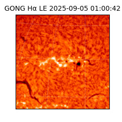 gong - 2025-09-05T01:00:42