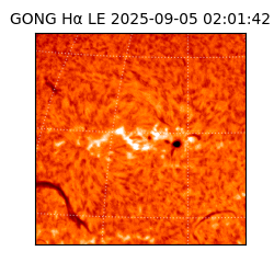 gong - 2025-09-05T02:01:42