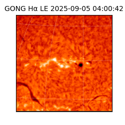 gong - 2025-09-05T04:00:42