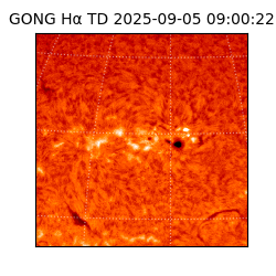 gong - 2025-09-05T09:00:22