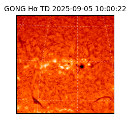 gong - 2025-09-05T10:00:22