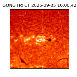 gong - 2025-09-05T16:00:42