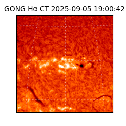 gong - 2025-09-05T19:00:42